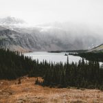 earth-608366-unsplash