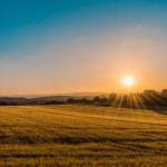 federico-respini-314377-unsplash