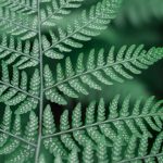 john-salzarulo-138024-unsplash
