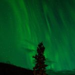 photo-1452800185063-6db5e12b8e2e