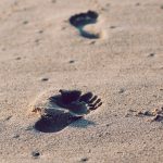 unsplash_526360a842e20_1